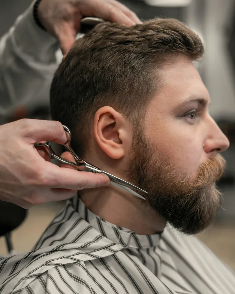 Full beard being shaped with scissors, side profile